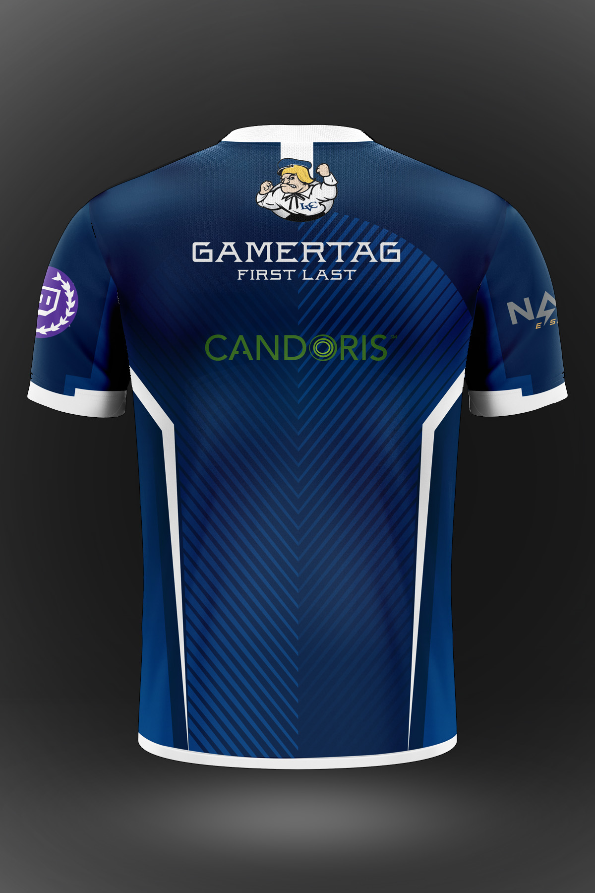 Lebanon Valley College Esports Jersey - Akquire Clothing Co.