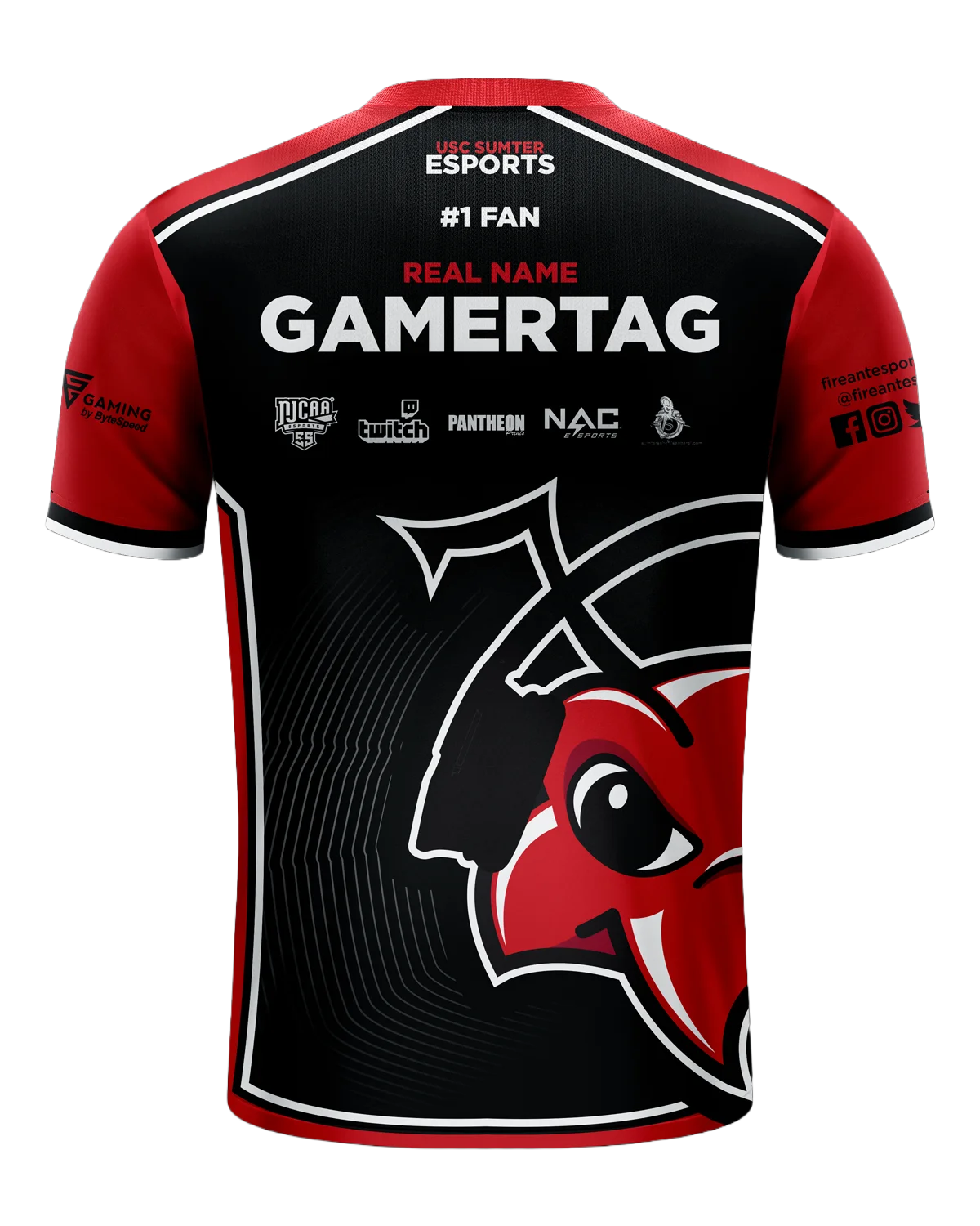 USC Sumter 2020 Esports Jersey - Image 2