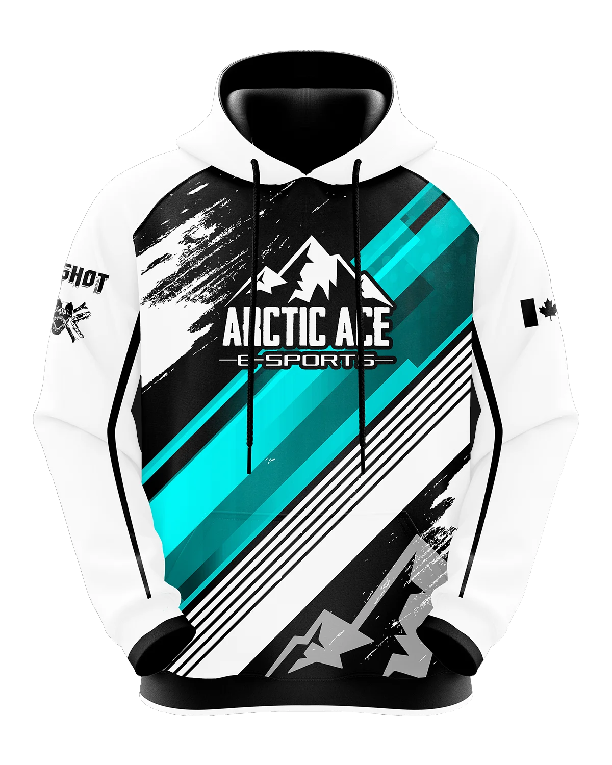 Arctic Ace Esports Pro Hoodie