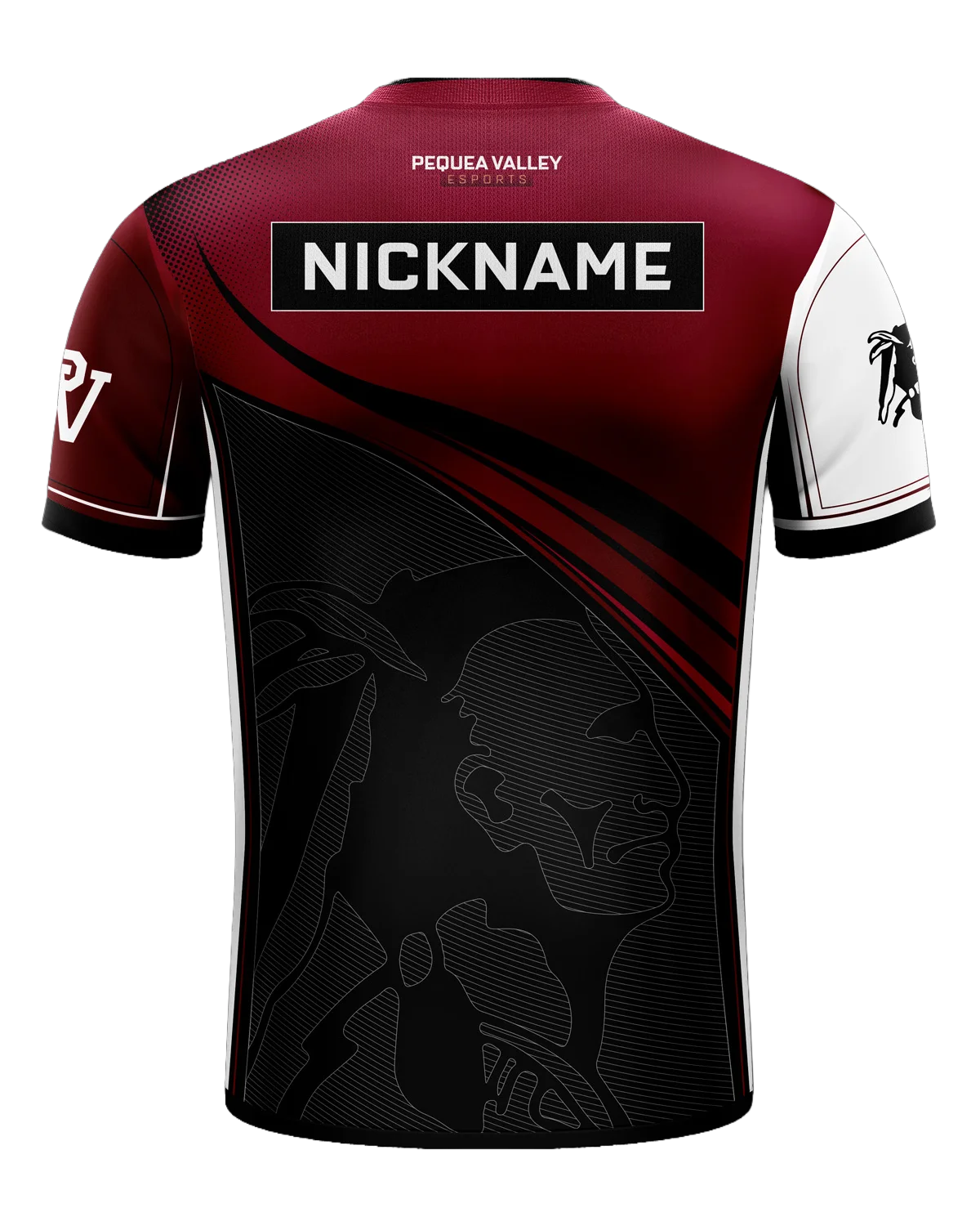 Pequea Valley Esports Pro Jersey - Image 2